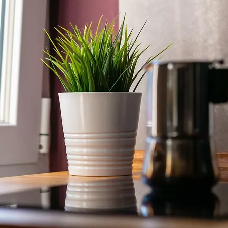 Διαμέρισμα Culture Consalvo Otto *