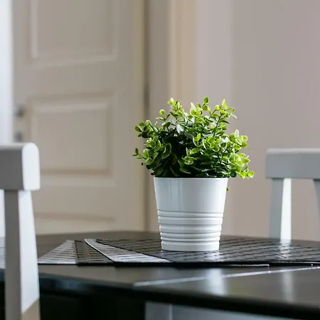 Apartmán Culture Consalvo Otto